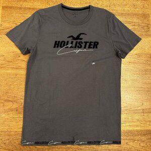 Hollister  Gray Embroidered Logo Men's Short Sleeve Crew Neck T-Shirt  NWT